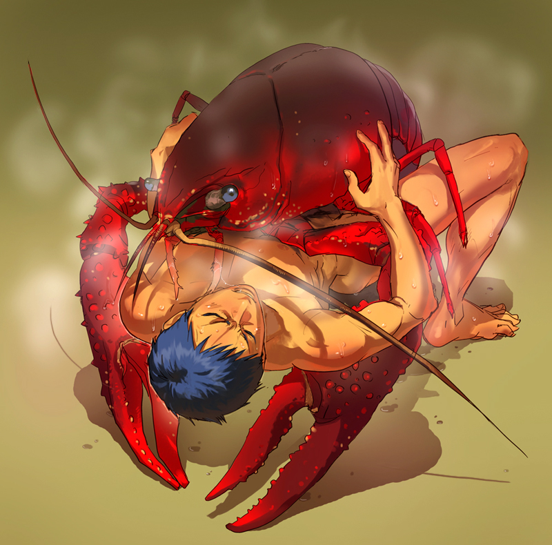 Lobster Porr